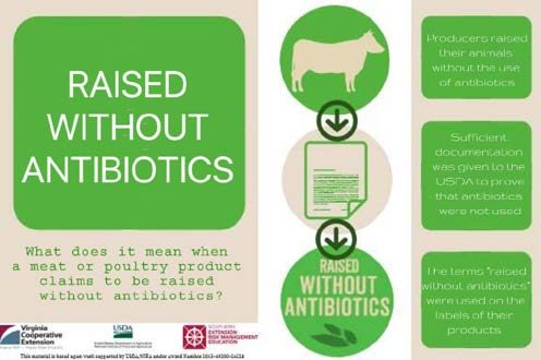 Figure 6. Infographic titled "RAISED WITHOUT ANTIBIOTICS" displayed in green, detailing standards for meat and poultry products. It explains what it means for these products to claim they were raised without antibiotics, including requirements such as producers raising their animals without the use of antibiotics and providing sufficient documentation to the USDA to prove that antibiotics were not used.