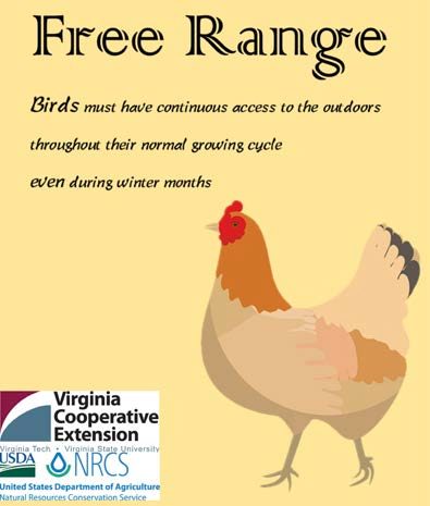 Figure 5. Infographic titled "Free Range" describing the conditions under which free-range poultry is raised. It states that birds must have continuous access to the outdoors throughout their normal growing cycle, even during winter months. The design features an illustration of a hen in profile on a yellow background.
