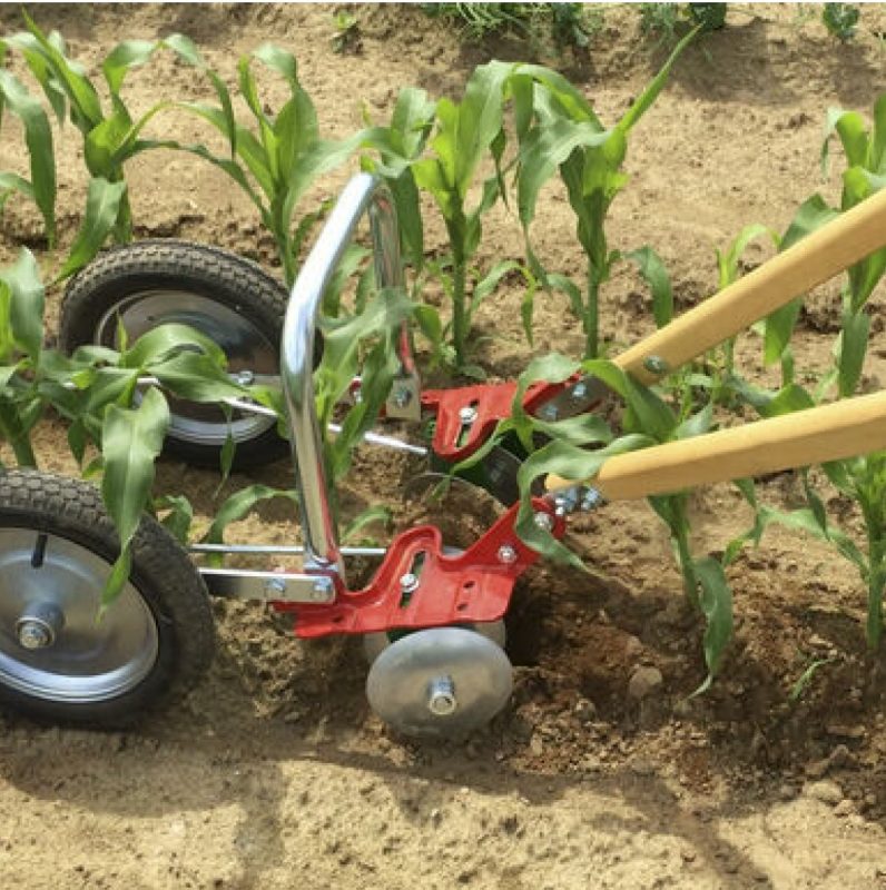 U-Bar Double Wheel Hoe hoeing young corn