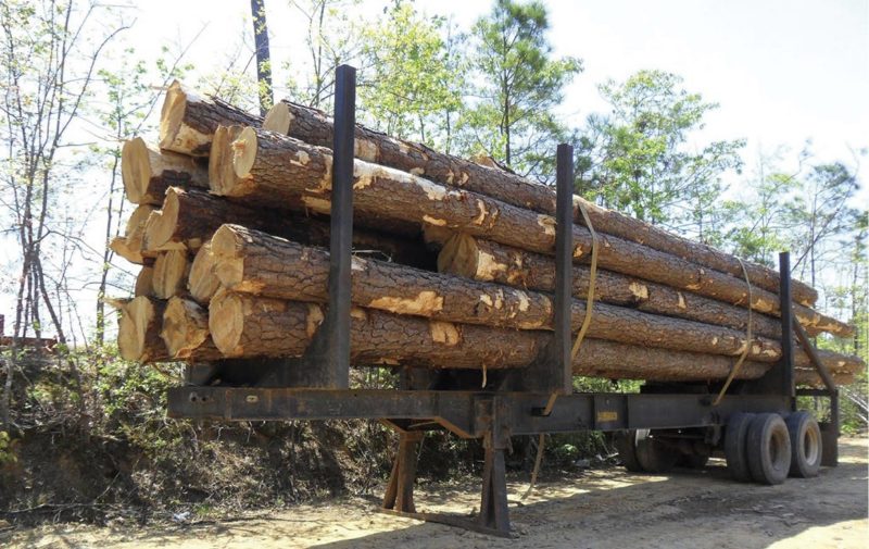 Truck filled by timbers