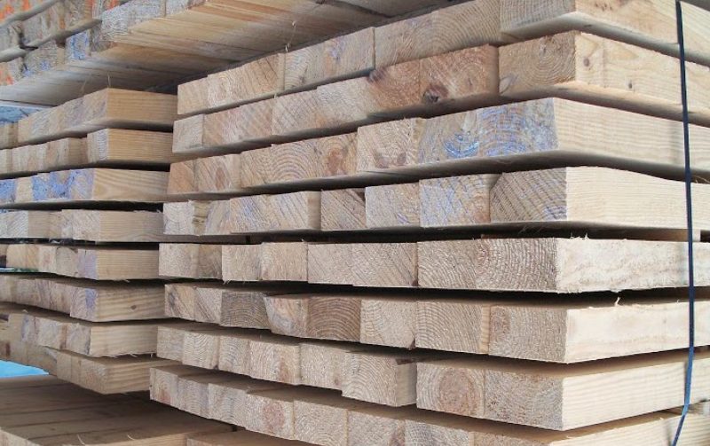 Big amount of wood which are maden of the harvested trees.