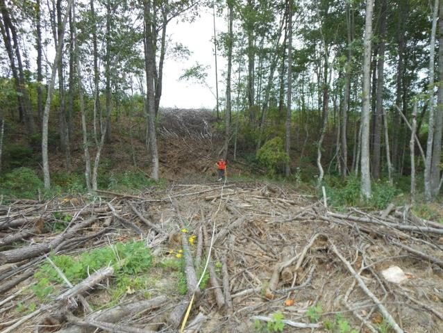 A photo featuring hardwood slash, with a person wearing a red outfit.