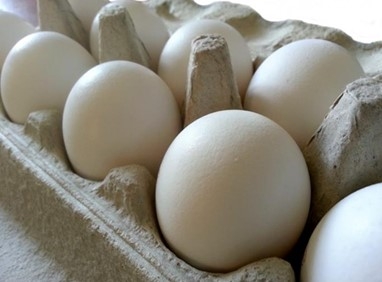 Shell eggs in a carton