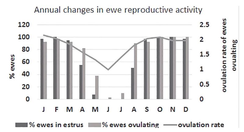 Patterns of seasonal reproduction for ewes plotted on a graph with the ovulation rate plotted on X asis and the months plotted on the Y asis. The graph compares percentage of ewes in estrus, percentage of ewes ovulating, and the ovulation rate. 