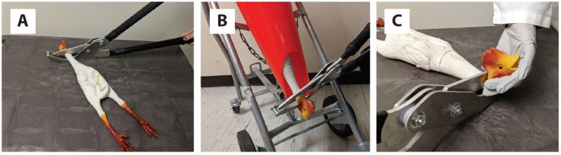 Three images depicting use of the Koechner Euthanizing Device. Figure 2A depicts the device, which looks similar to a large set of hand shears or pliers, with the gripped end around the neck of a rubber chicken. Figure 2B depicts the device being used on a rubber chicken inside a killing cone attached to a hand cart, with only the chicken's head and neck visible. Figure 2C depicts the device being used on a rubber chicken on a table surface, with the operator's fingers also around its neck to twist it.