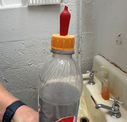 A Pritchard teat, available at most farm supply dealers, attached to a soda bottle for feeding colostrum to pigs.