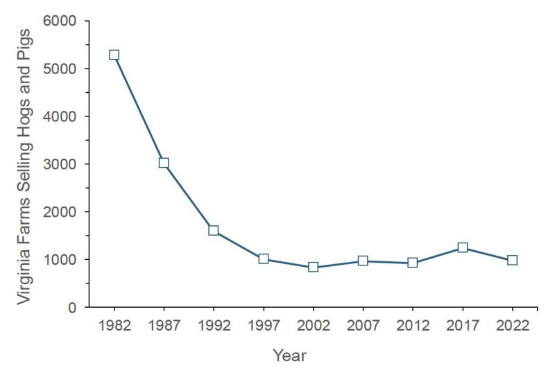 A line graph showing nearly 5,500 Virginia farms selling hogs or pigs in 1987, a figure dipping sharply through 2002 when the number of farms was about 1,000 and then remaining relatively stable through 2022.