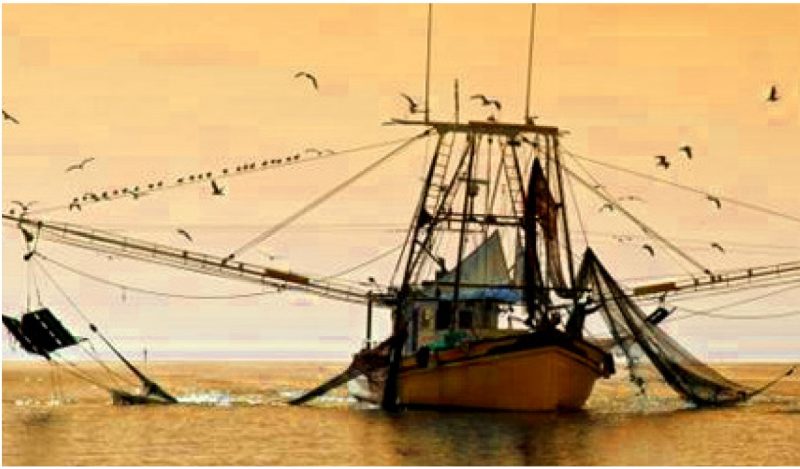 A fishing boat with extended nets.