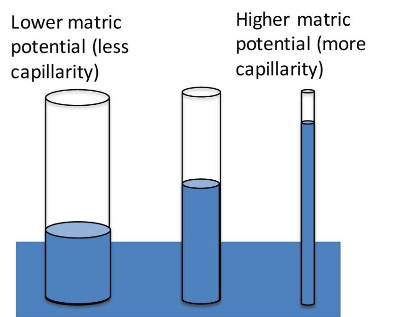 Example of the effect of capillary forces on water retention.