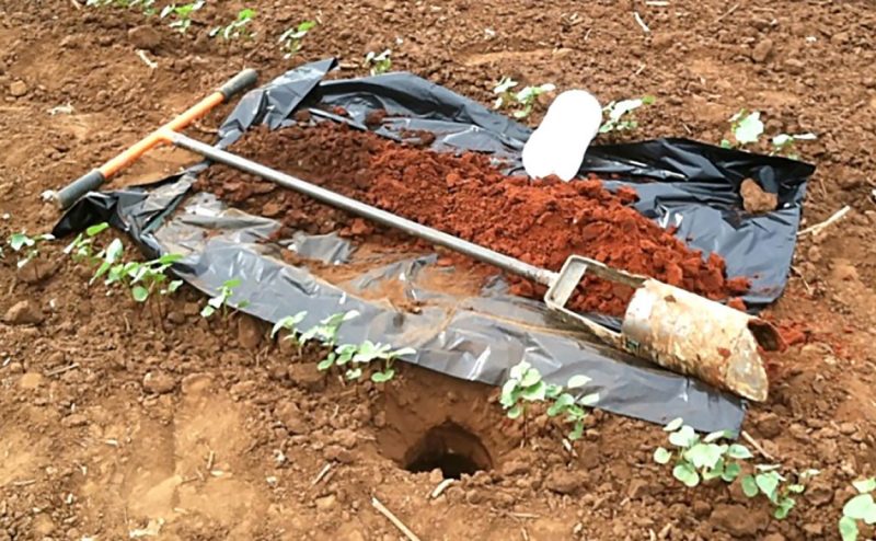 A photo of a borehole in soil beside a sheet of black plastic holding an auger and the soil removed from the hole. This soil is red clay, in contrast with the brown topsoil.