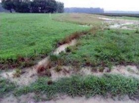 Photograph of a ditch cutting through a buffer.