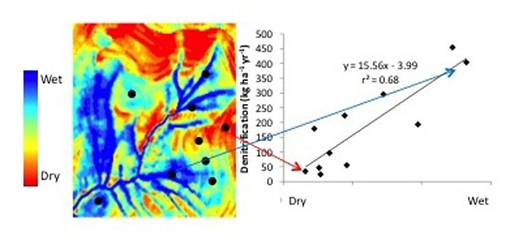 Graphic of the field study.