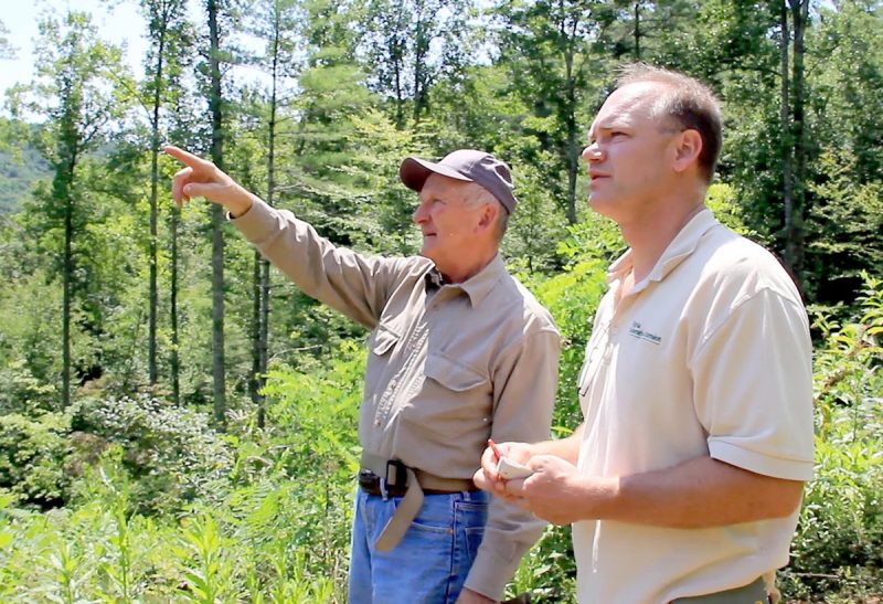 photo of two people looking in the same direction in the woods