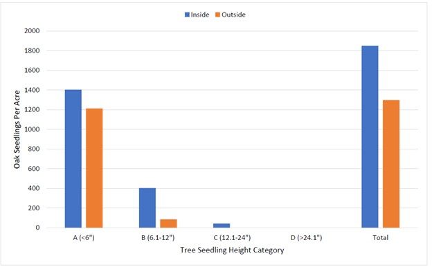 Figure 4. Oak (Quercus spp.) seedlings per acre by height category.