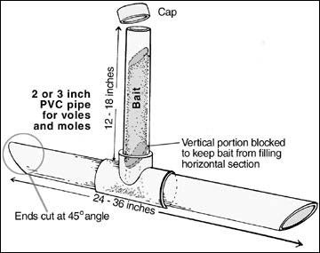 A horizontal PVC pipe with a fitting in the center attached to a cylindrical container that holds the bait.