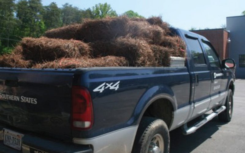 truck filled with several bales of pine straw.