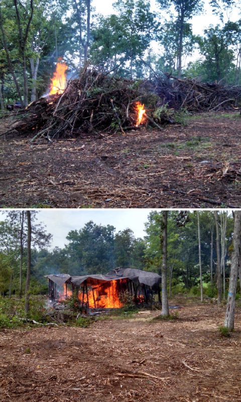 Images of a demonstration site where mulching and burning were used for cleanup: Top image shows burning of large piles of debris; bottom image captures the burning of an old homestead. The photos emphasize the considerations of cost, nutrient loss, and proximity to trees when using these methods.