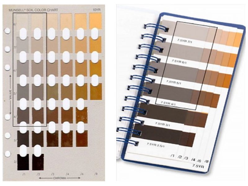 Left: An X-Rite soil color book (X-Rite, Grand Rapids, MI). Gray colors are inside the blackbox on any page. Gray is defined as having value 4 or more and chroma 2 or less on any page in the book. Right: The Globe Professional® book. Gray colors are inside the black box on any pages with chroma 1 or 2.