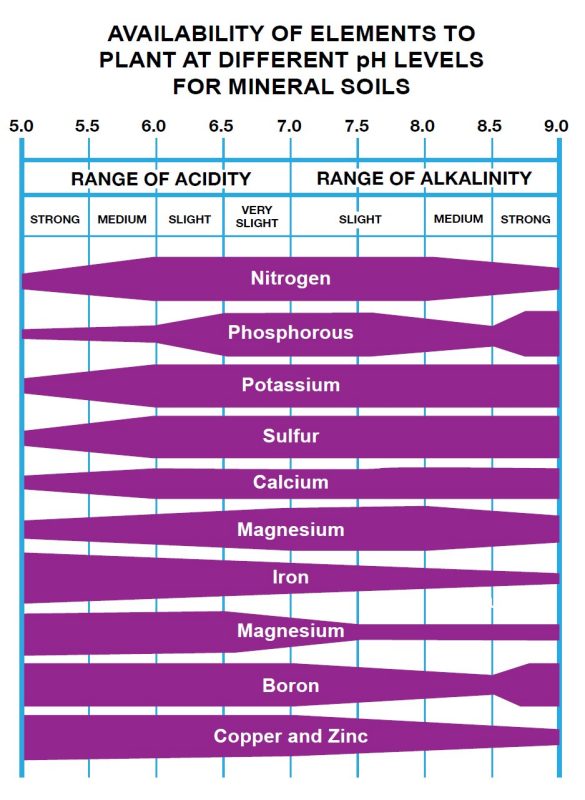 Affect of pH on nutrient availability.