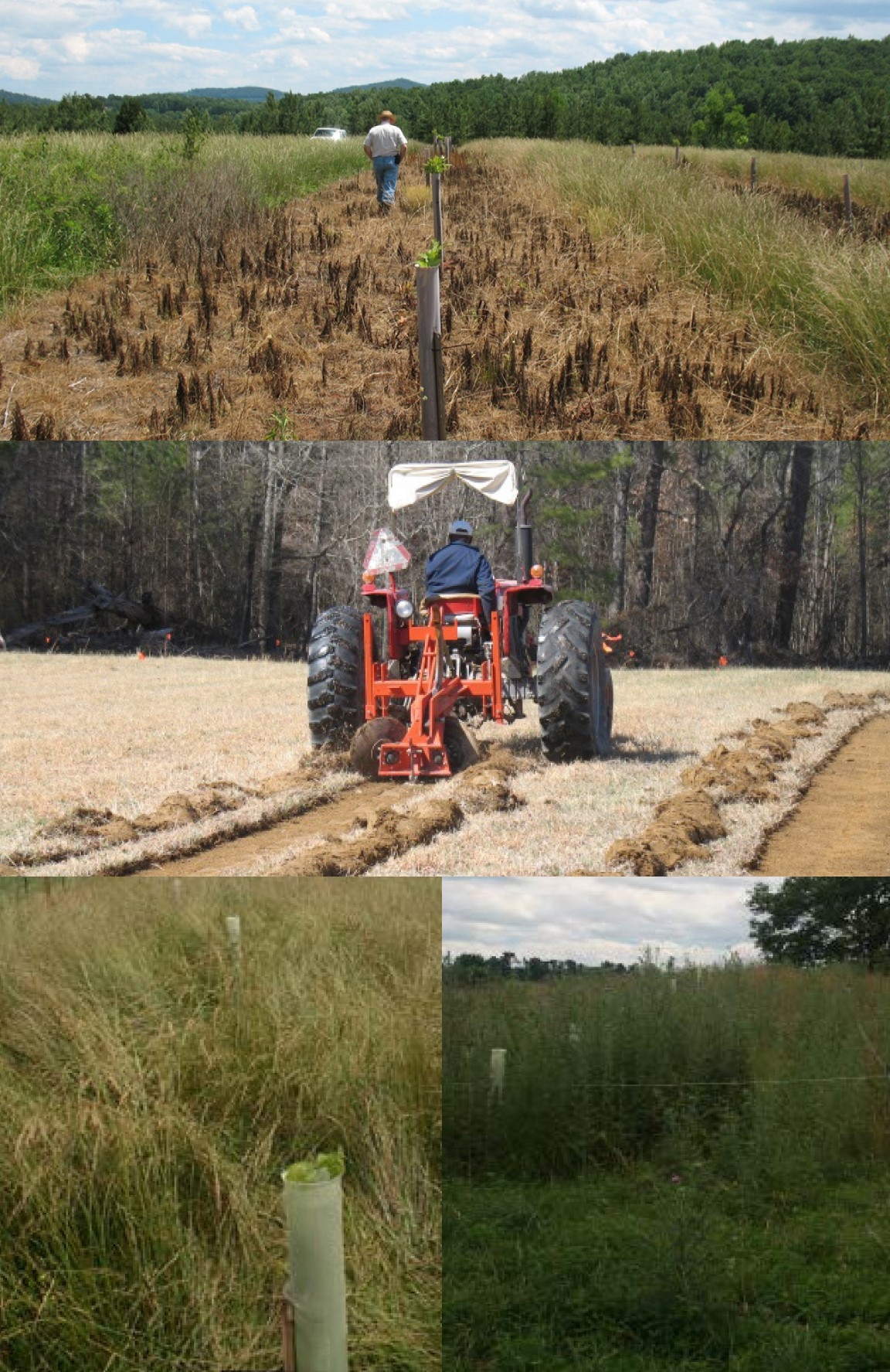 The four described pictured.
