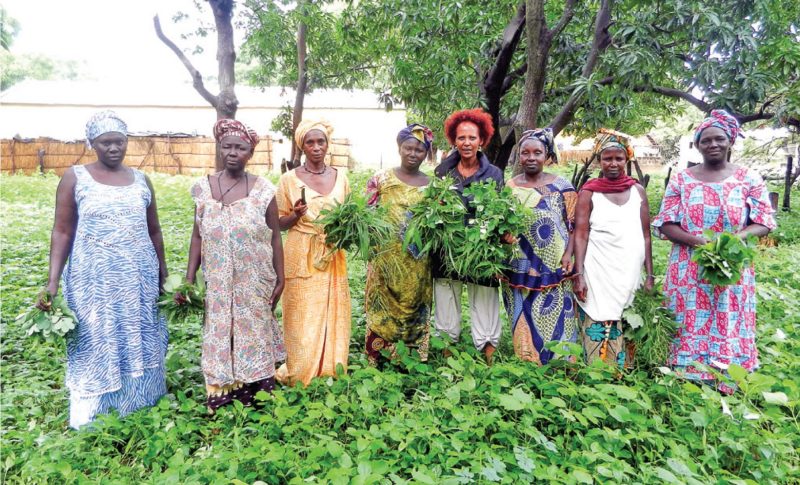 Eight women, including the author Ozzie Abaye, standing in green groundcover holding green plants with trees in the background.
