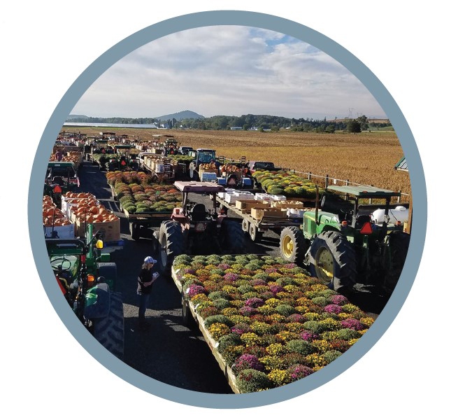 Farmer market