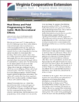 Cover for publication: Dairy Pipeline Newsletter, May 2021