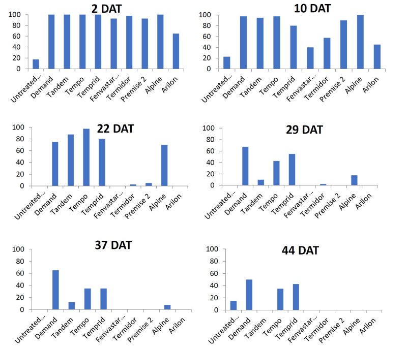 Percent mortality of BMSB after 2, 10, 22, 29, 37, and 44 days after exposure to insecticide treatments.
