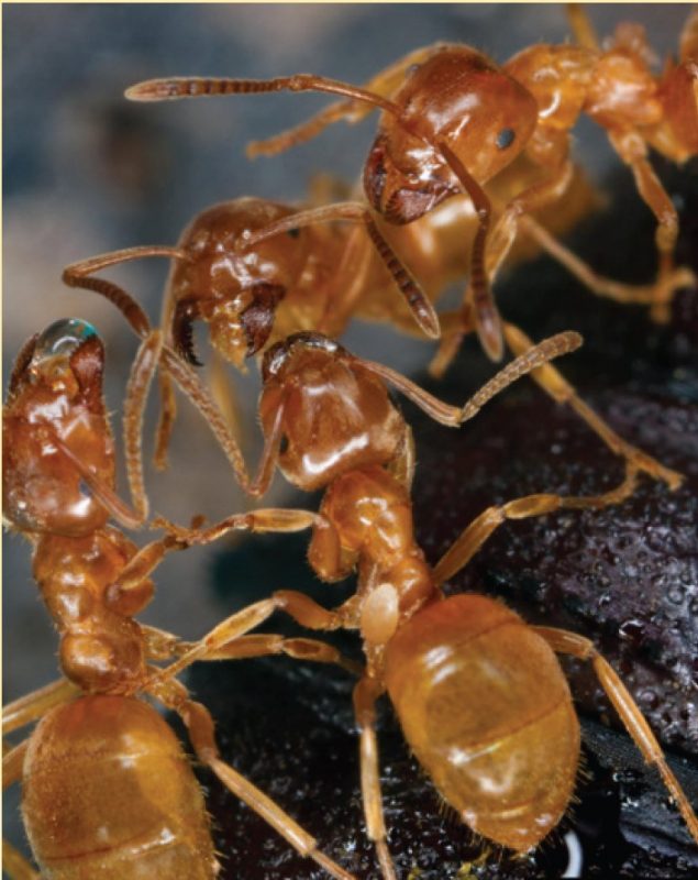 Workers