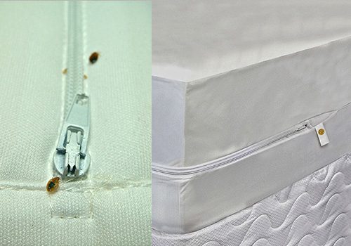 picture of encasement for a mattress and boxspring