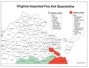 A map showing the cities and counties within the quarantine area. Emporia, Franklin Brunswick, Isle of Wight, Greenville, Mecklenburg, Southhampton, Chesapeake, Hampton, Newport News, Norfolk, Poquoson, Suffolk, Virginia Beach, Williamsburg, James City York