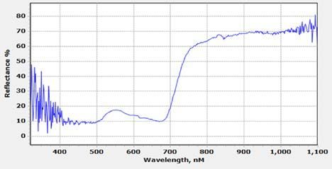 Line chart of the light reflectance profile collected from several plants at an out-of-play area. Ultraviolet is measured from 100-400 nm, and is attractive to many pollinators. Plants with a higher percentage of UV reflectance may be likely to attract pollinators.