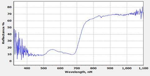 A graph showing An example of light reflectance signature taken from turfgrass under field conditions