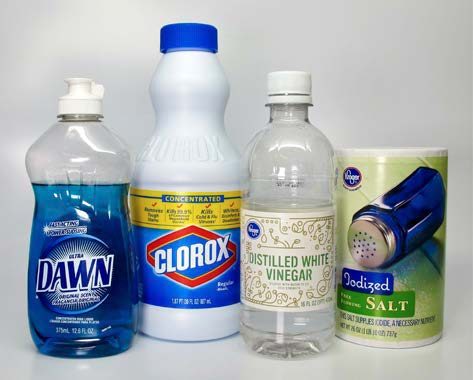 This image shows common household products, such as dish soap, bleach, vinegar, and salt, that are often found in homemade pesticide recipes.