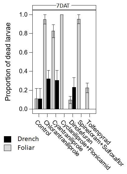 Graph at 7 DAT showing the proportions of dead larvae for each insecticide for drench and foliar treatments.