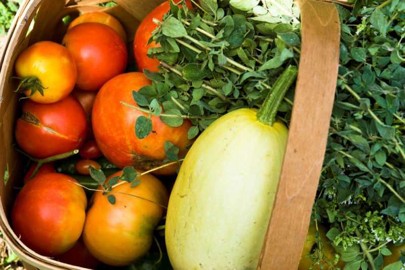Basket of Fruit 