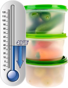 Food and a Thermometer 