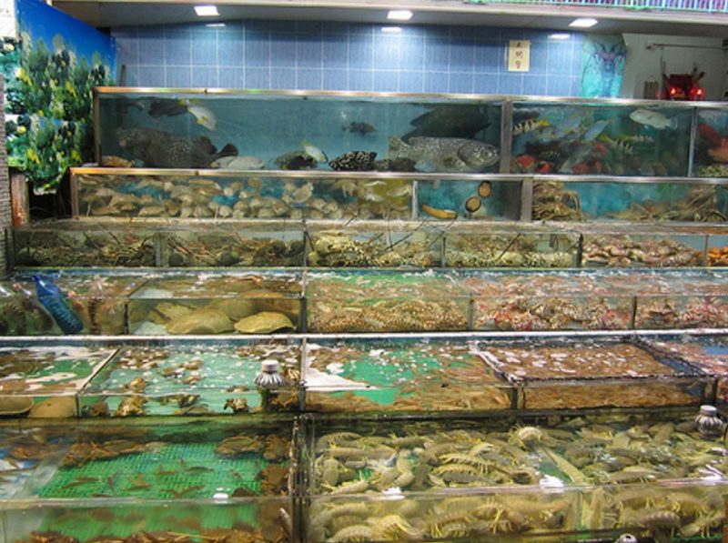 A live market equipped for different temperature tanks.