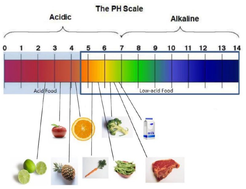 A scale illustration that shows where different foods fall on the pH scale, from acidic to akaline.