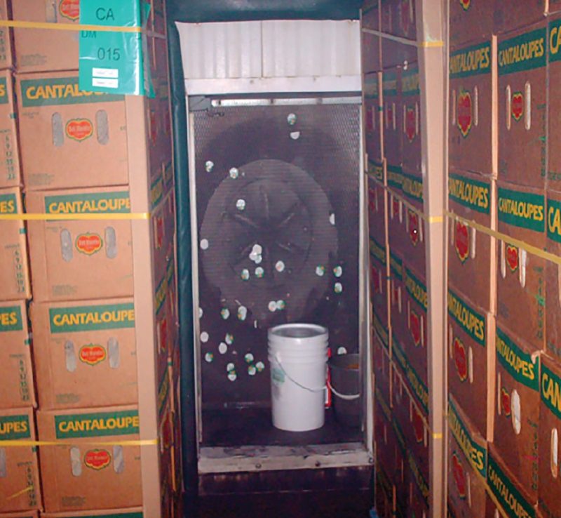 Chlorine gas is generated in an open, wooden chamber containing a white five-gallon bucket, smaller gray bucket, and a fan behind them. The chamber is surrounded by cartons of cantaloupe.