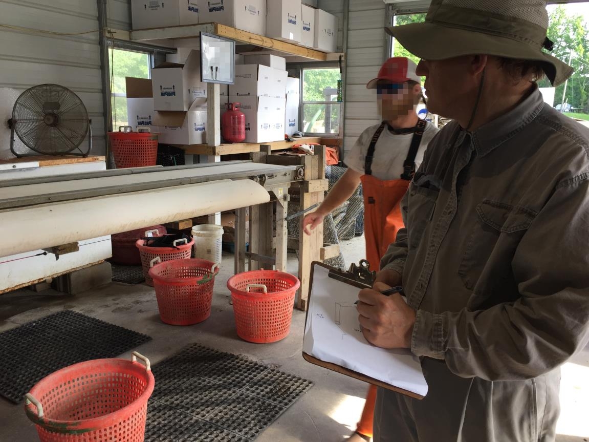 photo of a man reviewing post-harvest seafood processing applications.