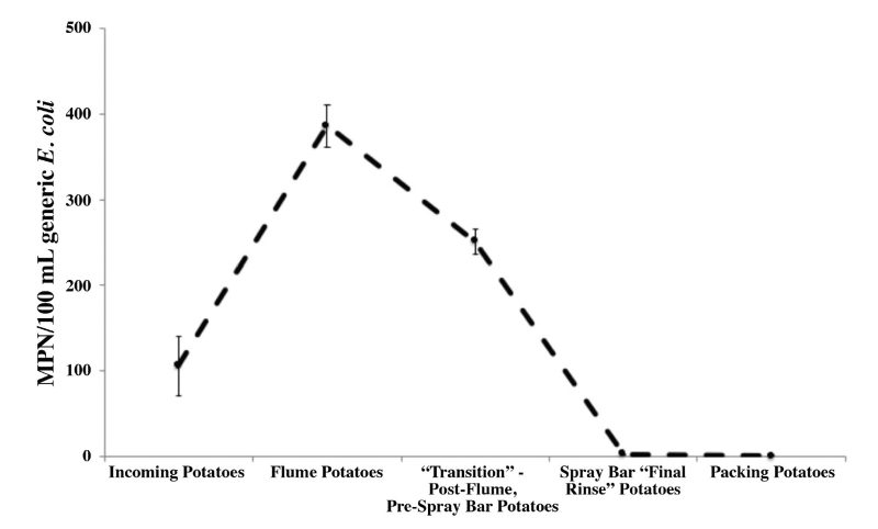 Live chart indicating that average generic E. coli found on potatoes in packing house operations starts relatively low on incoming potatoes, sharply peaks on potatoes from the flume, significantly decreases at the transition between flume and spray bar, and reaches undetectable levels at the spray bar and after the spray bar/before packing.