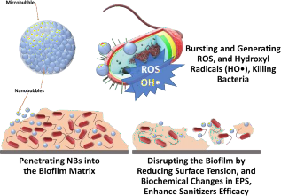 How nanobubbles can penetrate into the biofilms and disrupt them, and how release reactive oxygen species (ROS), and hydroxyl radicals (OH), which are toxic for bacteria.
