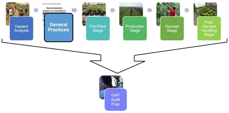 Figure 1. Flow chart showing the different pieces of the series with 6 colored boxes and names of each part, that point to GAP audit preparation box. The second box for general practices is highlighted.