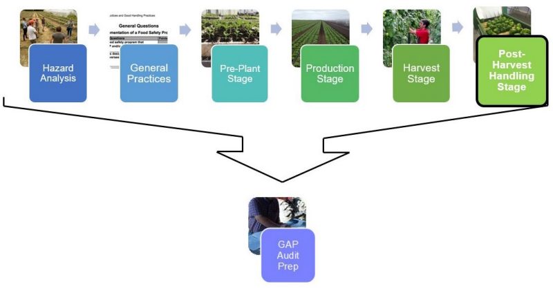 Figure 1. Flow chart showing the different pieces of the series with 6 colored boxes and names of each part, that point to GAP audit preparation box. The sixth box for the post-harvest handling stage is highlighted.
