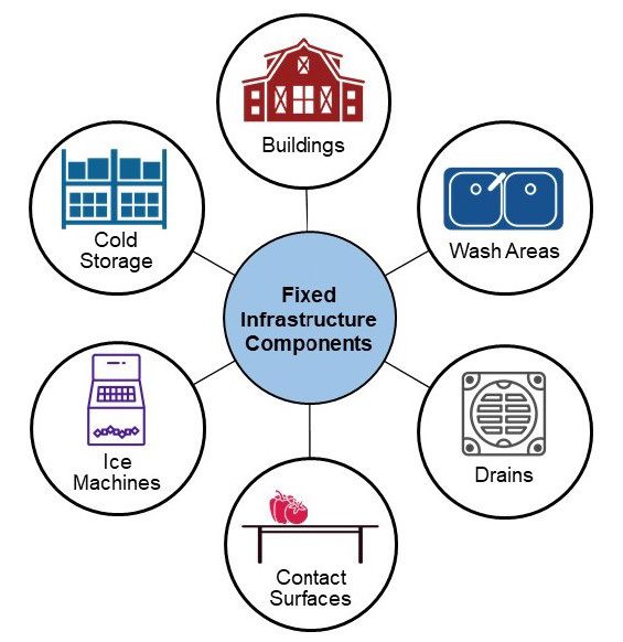 Figure 2 - fixed infrastructure components - buildings, wash areas, cold storage, ice machines, contact surfaces, drains.
