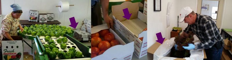Figure 7. Examples of different kinds of packaging, including wax boxes, padded pre-assembled boxes, and plastic-lined cardboard boxes.