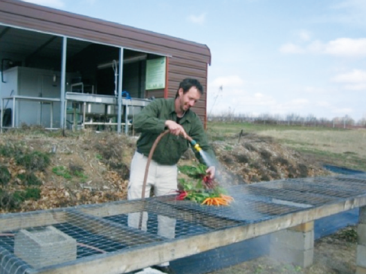 a photo of a person rinsing produce with water