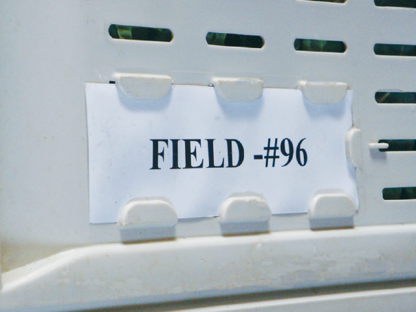 a photo of a label