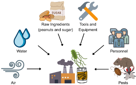 A visual representation of routes of entry into the processing environment by Salmonella, a foodborne pathogen. It includes pictures of air, water, raw ingredients, tools and equipment, personnel, and pests.
